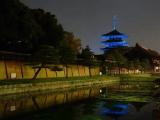 世界糖尿病デー ブルーライトアップ・東寺 世界糖尿病デー ブルーライトアップ・東寺
