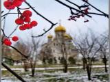 Ashberry + Temple \ Рябина + Храм Ashberry + Temple \ Рябина + Храм