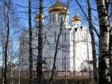 Стефановский собор. Вид из Парижа