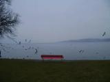 Rapperswil