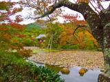 Kyoto, Ryoan-ji, Landschaftsgarten Kyoto, Ryoan-ji, Landschaftsgarten