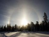 Halo, Luosto