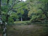 Park at Kinkakuji (金閣寺) Park at Kinkakuji (金閣寺)