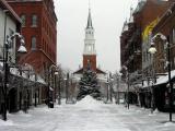 Burlington Christmas Tree Burlington Christmas Tree