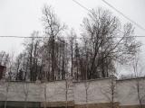 декабрь 2011