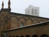 Ferrara Ferrara