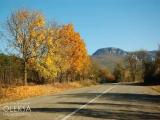 Road from Foti Sala (Holubynka) to Aromat village