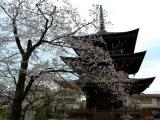 飛騨国分寺 飛騨国分寺