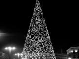 Feliz Navidad ! Feliz Navidad !
