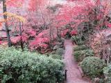 参道 三滝寺 広島市西区三滝 参道 三滝寺 広島市西区三滝
