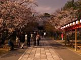 Ninna-ji temple