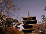 Five storeyed pagoda of Ninna-ji temple