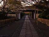 Ryoan-ji temple Ryoan-ji temple