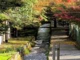 京都 鹿谷通 疏水道 Kyoto,Japan 京都 鹿谷通 疏水道 Kyoto,Japan