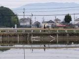 日本 奈良 尼辻 Amagatsuji,Nara,Japan 日本 奈良 尼辻 Amagatsuji,Nara,Japan