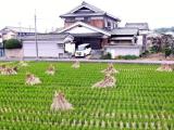 日本 奈良 Nara,Japan