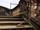 Treppe Schloss Moritzburg