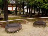 日本 奈良 藥師寺 Yakushiji Temple,Nara,Japan,WHL