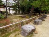 日本 奈良 藥師寺 Yakushiji Temple,Nara,Japan,WHL