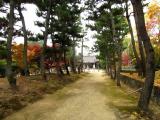 日本 奈良 藥師寺 Yakushiji Temple,Nara,Japan,WHL