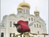 Temple + Red Rose Temple + Red Rose