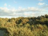 Canary Islands. Gran Canariа. Maspalomas. Canary Islands. Gran Canariа. Maspalomas.