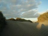 Canary Islands. Gran Canariа. Maspalomas. Canary Islands. Gran Canariа. Maspalomas.