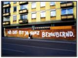 "Augsburg-Blume - Na, das ist ja ganz bezaubernd! - Augsburg Flower - Well, that's quite enchanting!" ✿✿✿ "Augsburg-Blume - Na, das ist ja ganz bezaubernd! - Augsburg Flower - Well, that's quite enchanting!" ✿✿✿