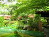 Jardin du temple Ryoan-ji à Kyoto (Japon) Jardin du temple Ryoan-ji à Kyoto (Japon)