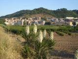 Martorell - Panaràmica de La Vila