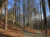12/2011 rund um Burg Stolpen 12/2011 rund um Burg Stolpen
