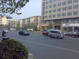 紫荆山路 ZijingShan Road