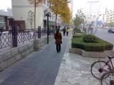 紫荆山路 ZijingShan Road