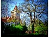 The church behind the trees -Kostel za stromy The church behind the trees -Kostel za stromy