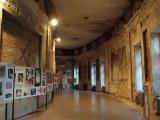 Gatchina. A palace. WWII traces. Gatchina. A palace. WWII traces.