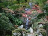 三滝寺 梵音の滝 2007/11/17 三滝寺 梵音の滝 2007/11/17