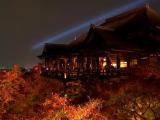 Kiyomizu-dera temple/night view/清水寺/夜景 Kiyomizu-dera temple/night view/清水寺/夜景