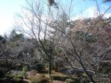 tsu Castle , public park
