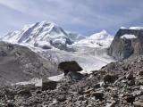 Glacier hike to Monte Rosa Hut Glacier hike to Monte Rosa Hut