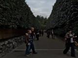 Ginkaku-ji temple/銀閣寺