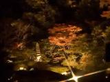 Shouren-in temple/night view/青蓮院/夜景 Shouren-in temple/night view/青蓮院/夜景