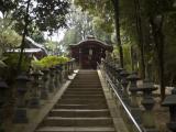 Toufuku-ji temple/東福寺 Toufuku-ji temple/東福寺