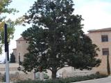 Monestir de Poblet Monestir de Poblet