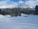 visto che la neve tarda ad arrivare, sono andata a cercare la neve... since the snow late to get there I went to look snow visto che la neve tarda ad arrivare, sono andata a cercare la neve... since the snow late to get there I went to look snow