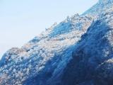 雲仙普賢岳の霧氷 Rime of Unzen 雲仙普賢岳の霧氷 Rime of Unzen