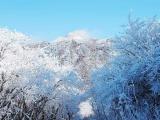 雲仙普賢岳の霧氷 Rime of Unzen 雲仙普賢岳の霧氷 Rime of Unzen