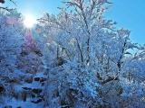 雲仙普賢岳の霧氷 Rime of Unzen 雲仙普賢岳の霧氷 Rime of Unzen