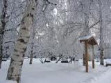 Winteridyll im Park Winteridyll im Park