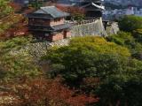 Matsuyama  enceinte du château