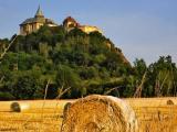 Castle and cornfield Hradec Kralove Czech Republic